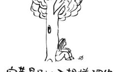 漫画的要点,生活中的幽默与智慧