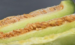 甜瓜漫画,甜蜜日常，温馨治愈