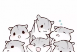 仓鼠萌漫画,欢乐日常，温馨瞬间